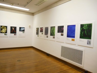 2016-03-13 16.47.19.jpg